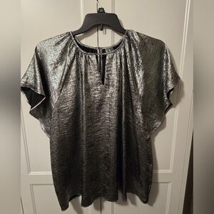 Worthington Shimmering Silver Blouse Flutter Sleeves Size 2X